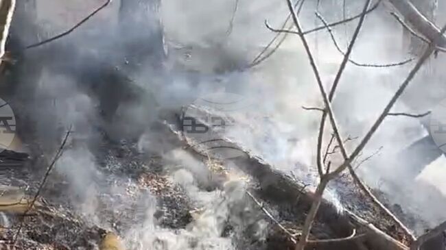 Пожар е обхванал около 100 дка ливади и към 80 дка горски територии в троянското село Черни Осъм