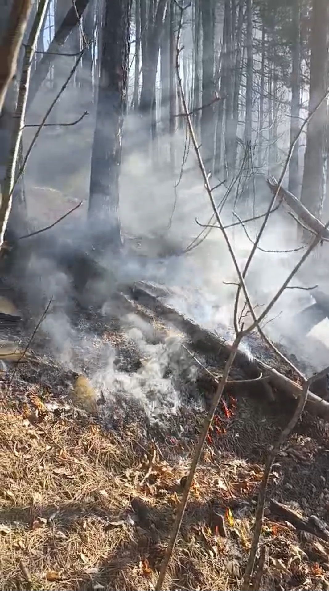 Село Черни Осъм - пожар