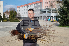Търговище - „Гората.БГ” - безплатни фиданки - Никола Рахнев