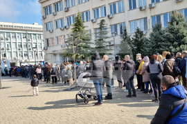 Търговище - „Гората.БГ” - безплатни фиданки