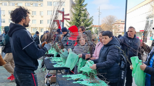 Плодни, медоносни и паркови дръвчета бяха раздадени в Търговище от инициативата "Гората БГ"