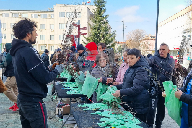 Търговище - „Гората.БГ” - безплатни фиданки 