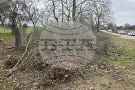 Плевен - Коиловска чешма - почистване