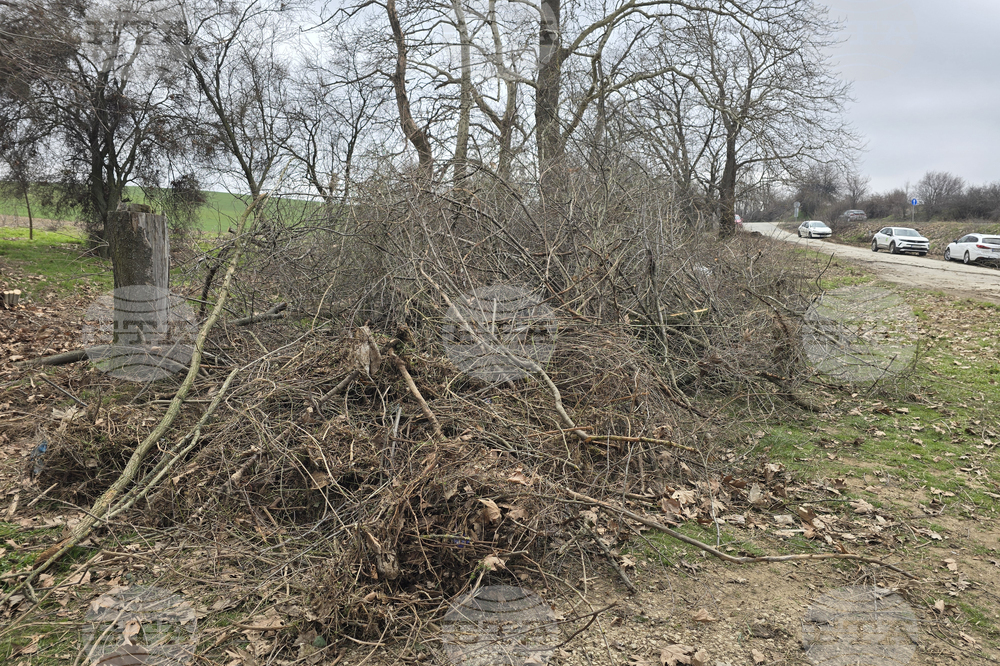 Плевен - Коиловска чешма - почистване