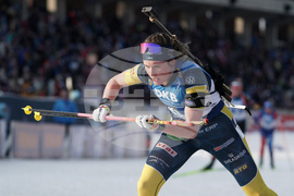 Estonia World Cup Biathlon