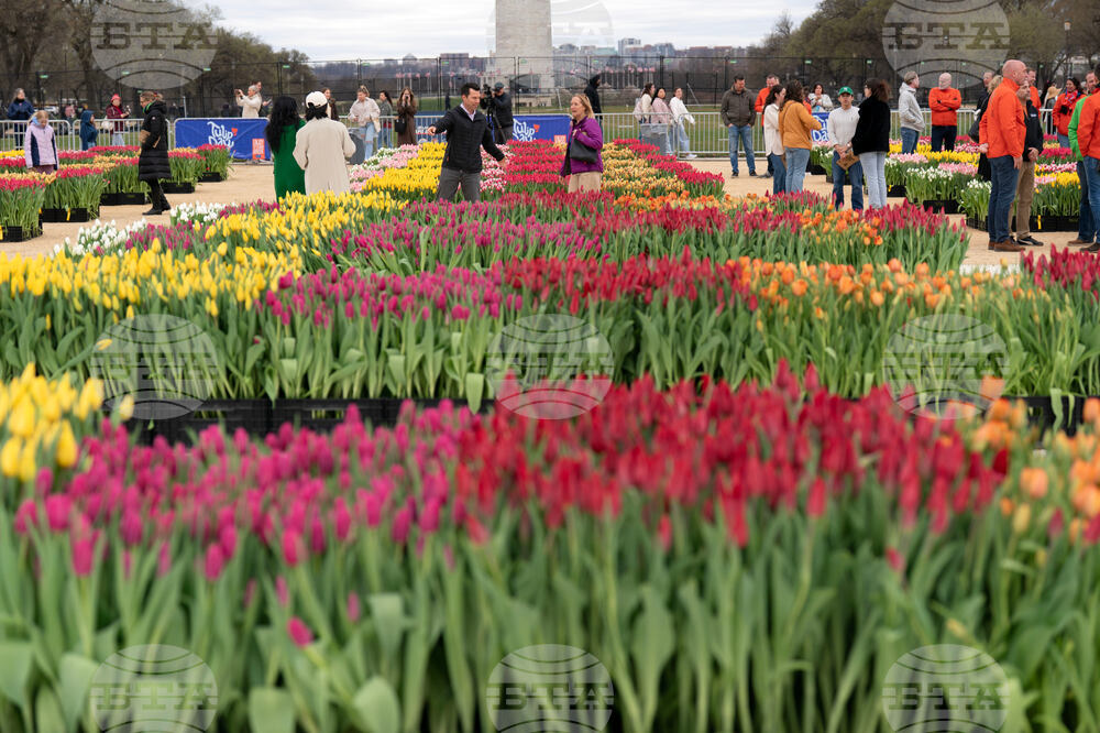 Washington Tulip Day