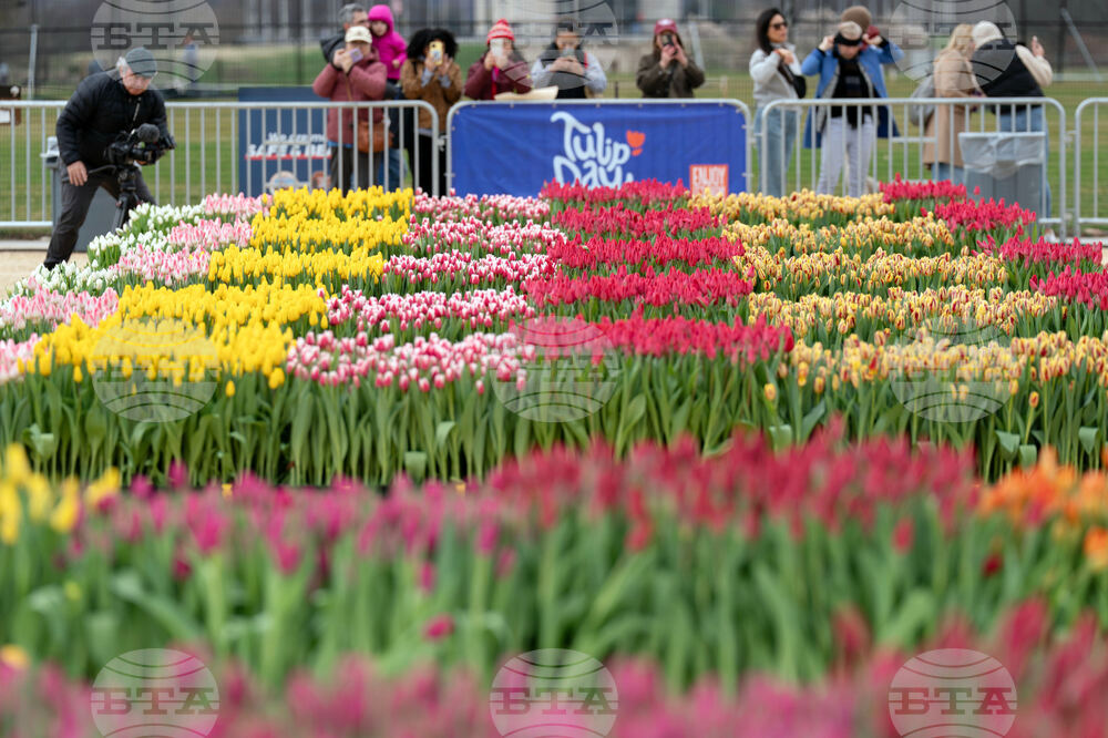 Washington Tulip Day