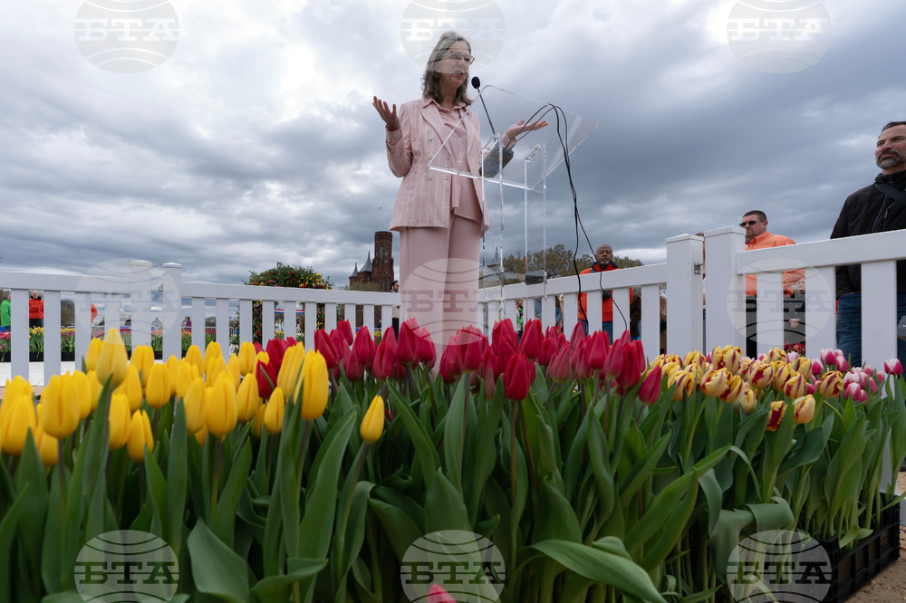 Washington Tulip Day