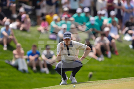 Players Championship Golf