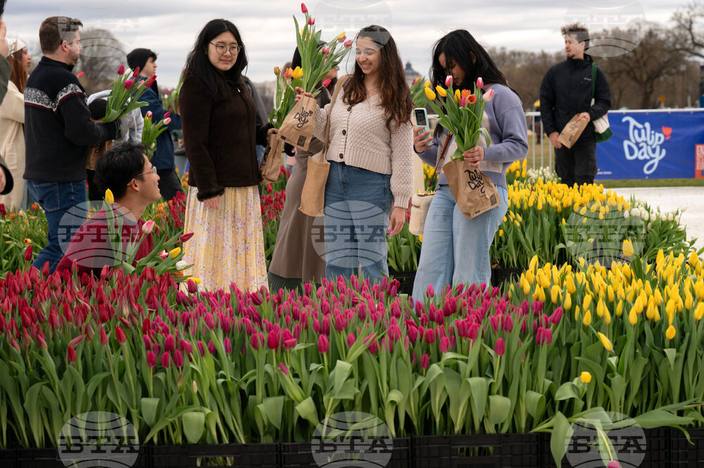 Washington Tulip Day