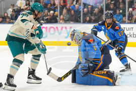 PWHL Torrent Sceptres Hockey