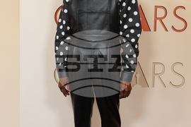 98th Academy Awards - Arrivals