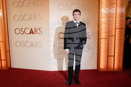 98th Academy Awards - Arrivals