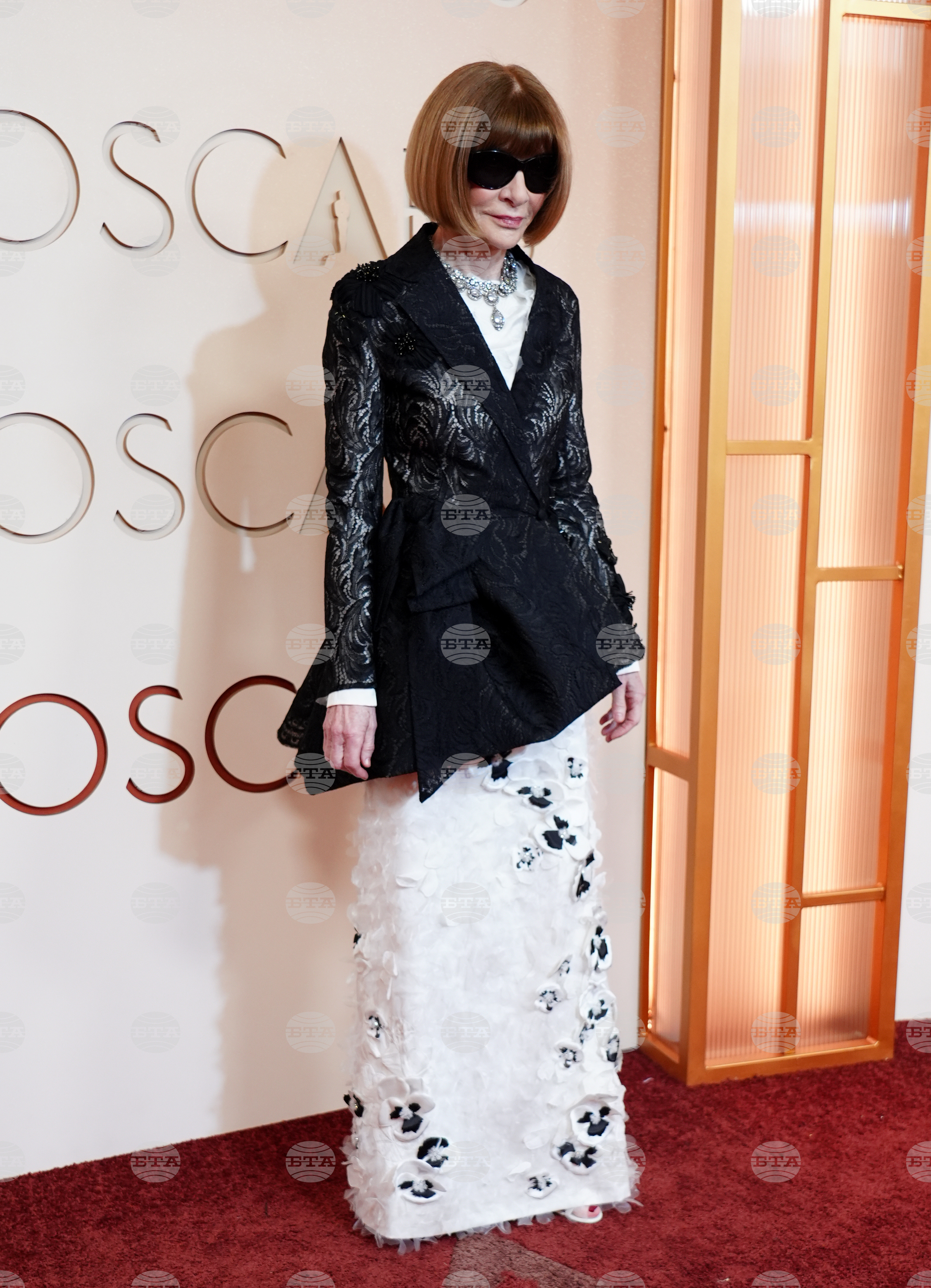 98th Academy Awards - Arrivals