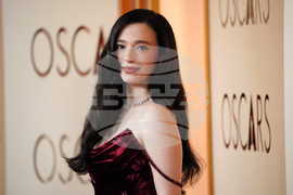 98th Academy Awards - Arrivals