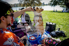 California Daily Life