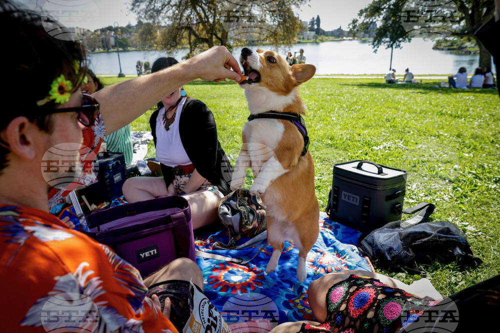 California Daily Life