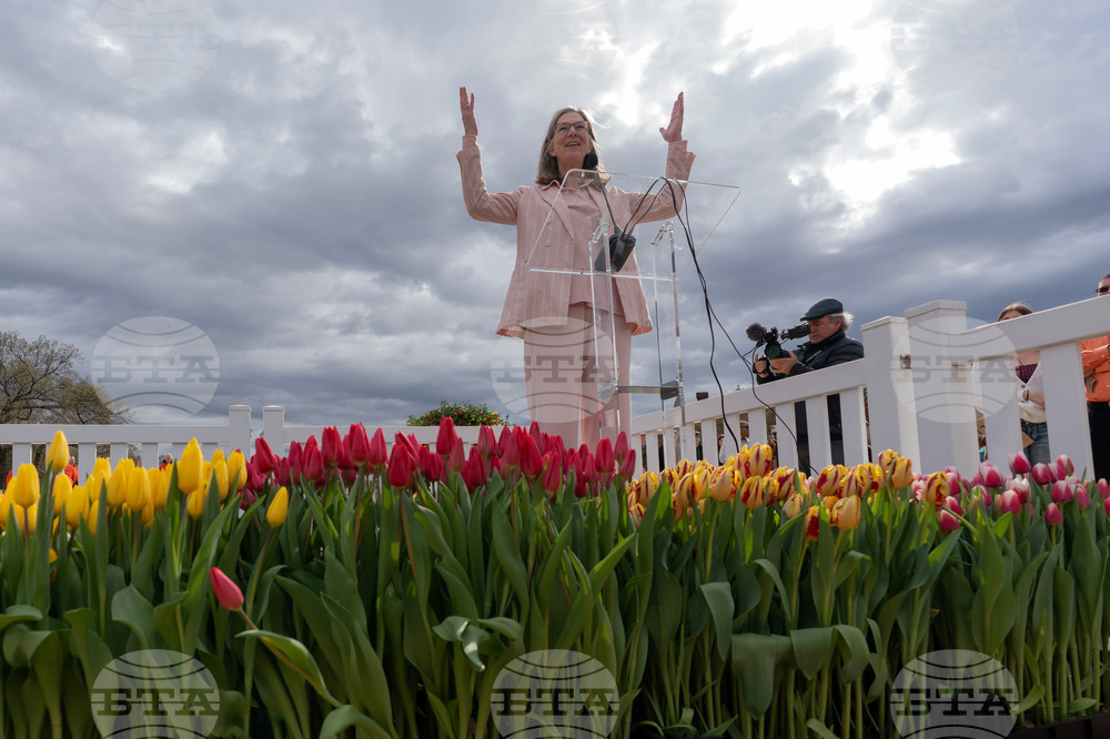 Washington Tulip Day