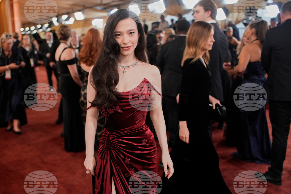 98th Academy Awards - Roaming Arrivals