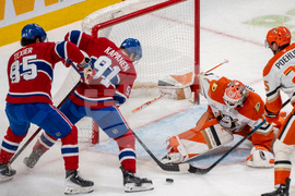 Ducks Canadiens Hockey