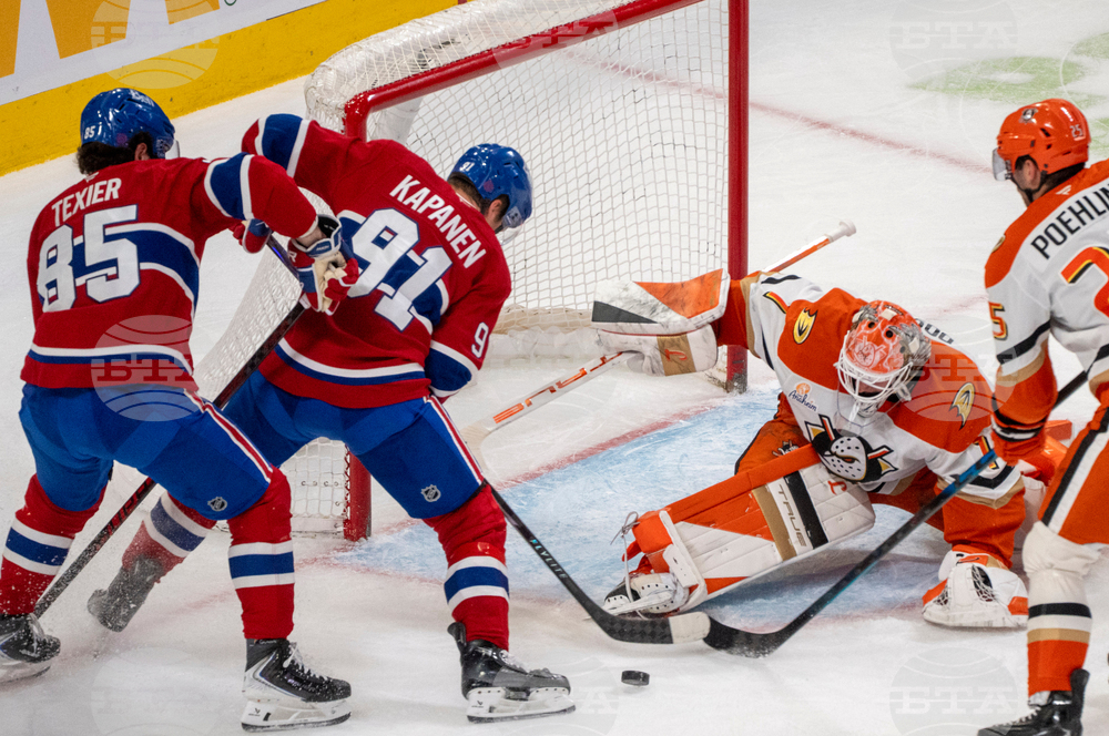 Ducks Canadiens Hockey