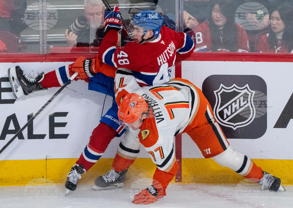 Ducks Canadiens Hockey
