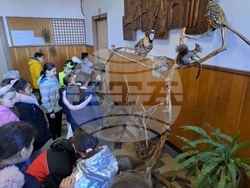 Снимка: Община Банско