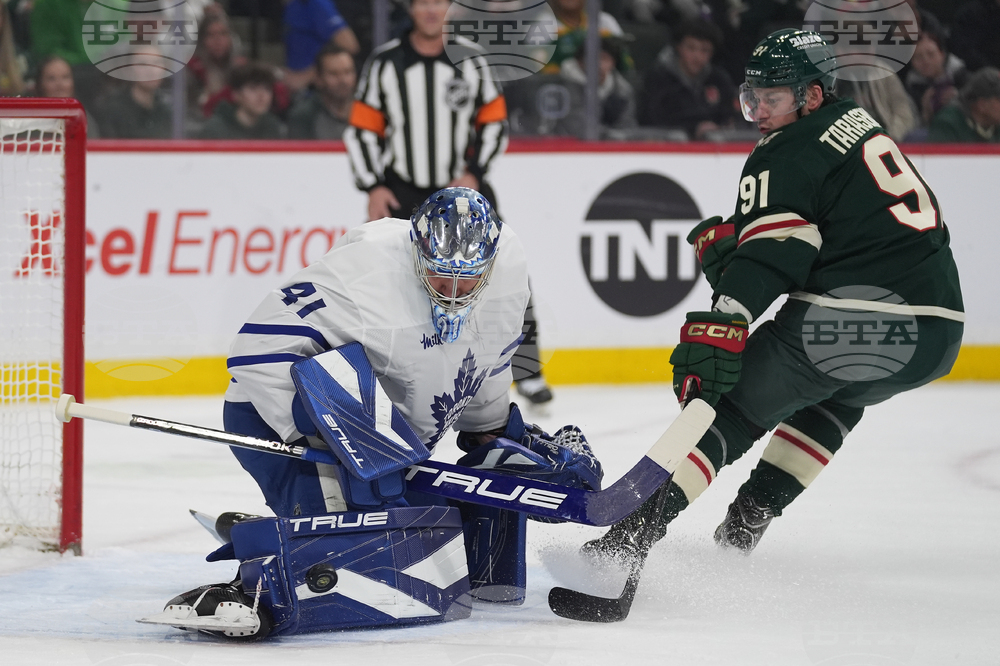 Maple Leafs Wild Hockey