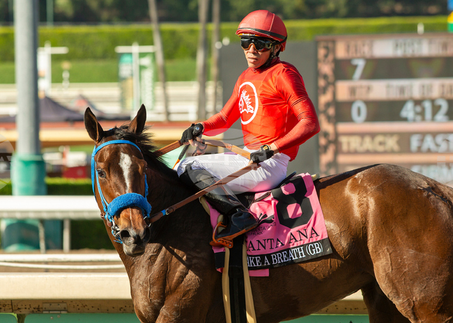 Santa Anita Horse Racing