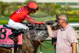 Santa Anita Horse Racing