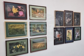 Плевен - Тихомир Христов - изложба