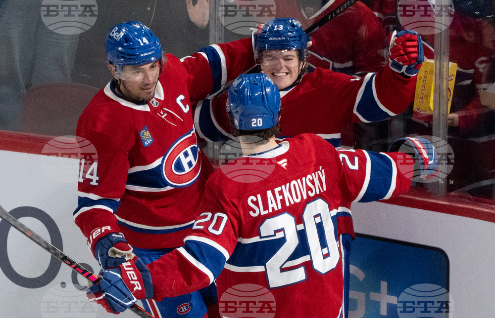 Ducks Canadiens Hockey