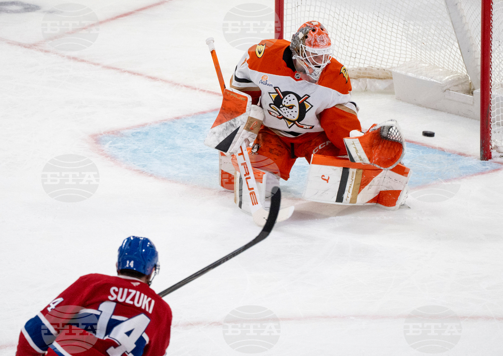 Ducks Canadiens Hockey