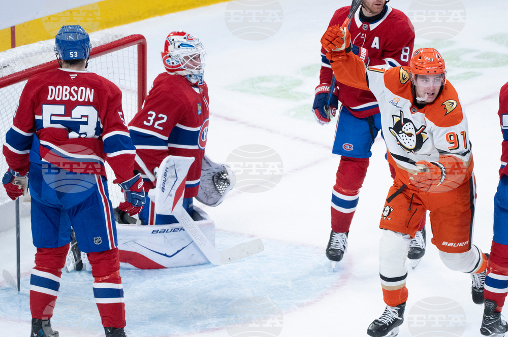 Ducks Canadiens Hockey