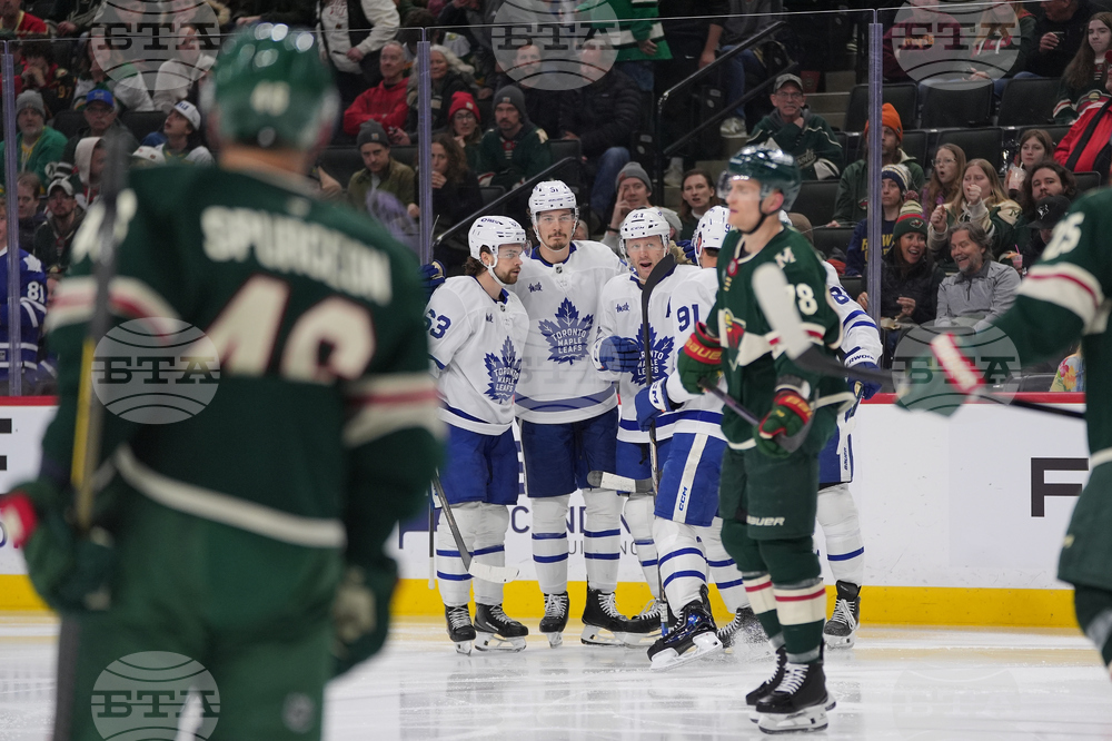 Maple Leafs Wild Hockey