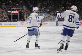 Maple Leafs Wild Hockey