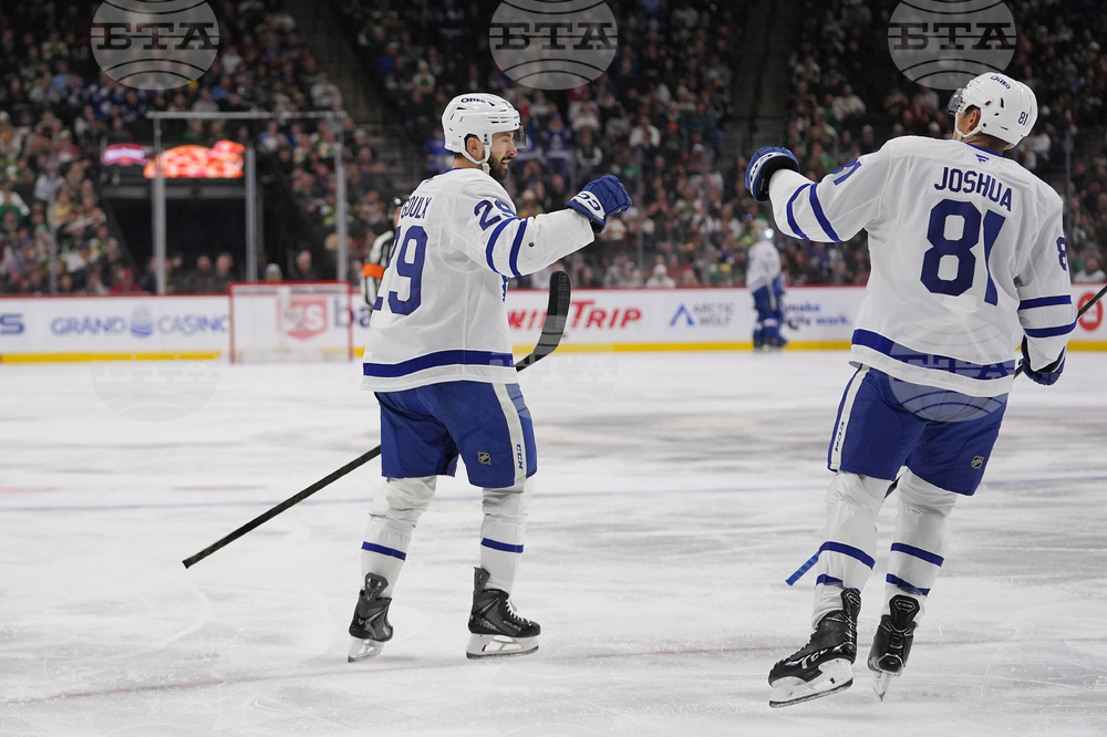 Maple Leafs Wild Hockey