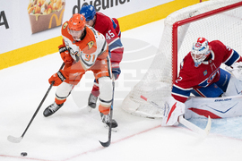 Ducks Canadiens Hockey