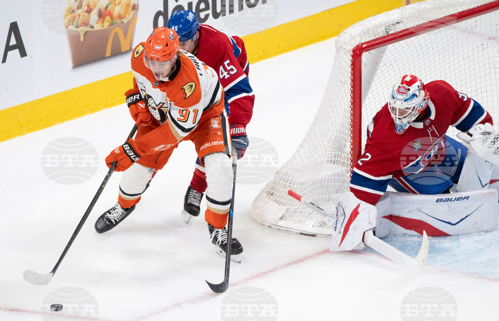 Ducks Canadiens Hockey