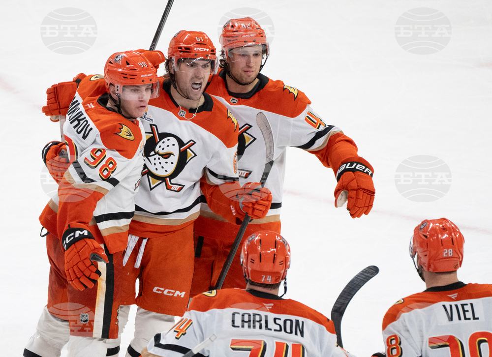 Ducks Canadiens Hockey