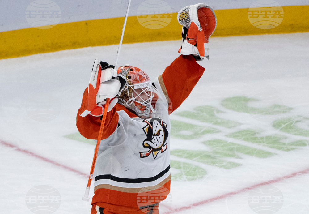 Ducks Canadiens Hockey