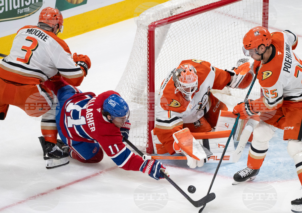 Ducks Canadiens Hockey