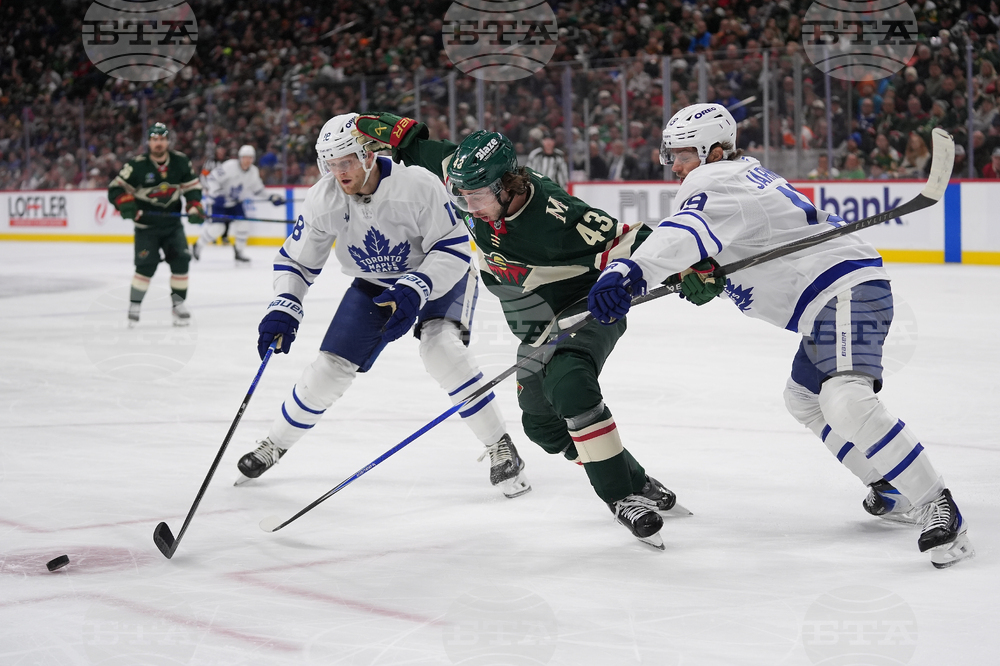 Maple Leafs Wild Hockey