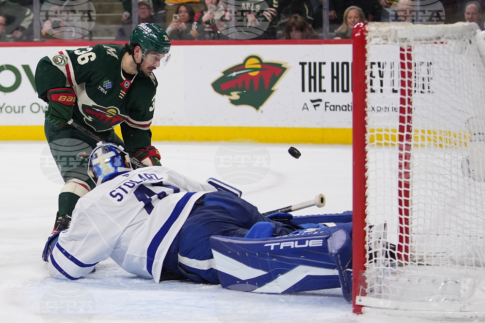 Maple Leafs Wild Hockey