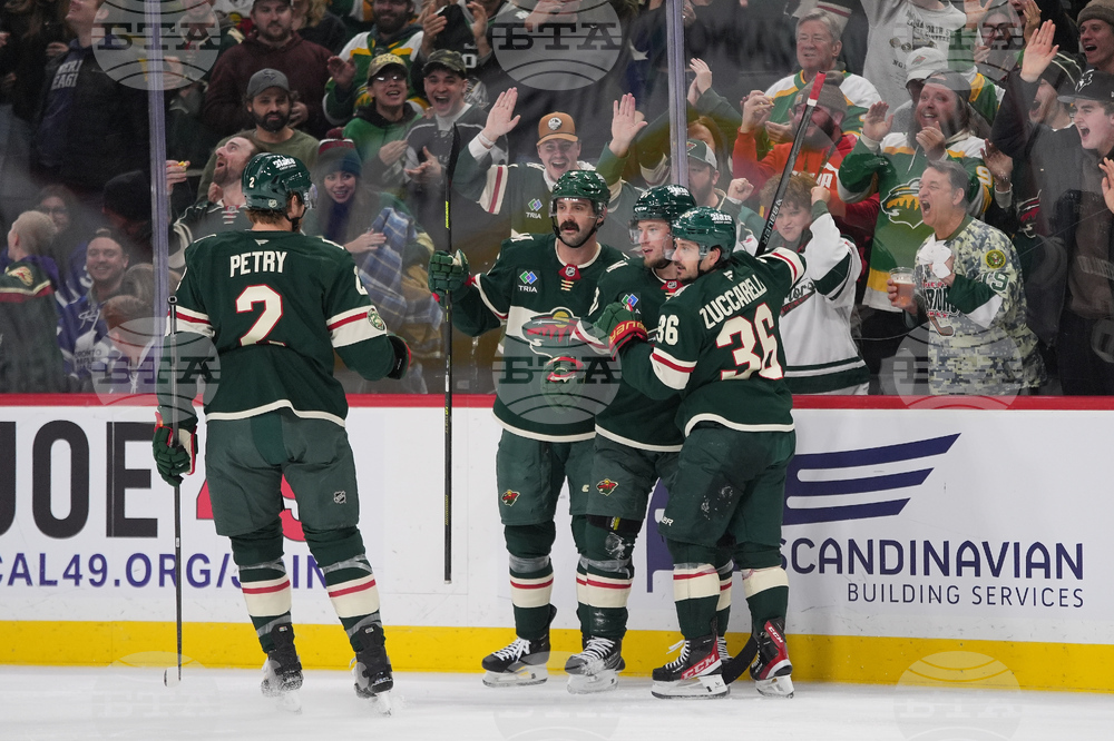 Maple Leafs Wild Hockey