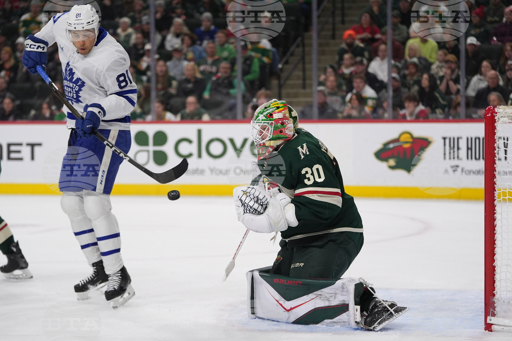 Maple Leafs Wild Hockey