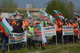 Русе - зърнопроизводители- протест