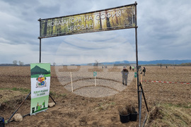 Село Негован - залесяване