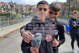 Велико Търново - ученици - Холокоста - гълъби на мира