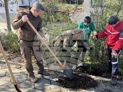 Снимка: Югозападно държавно предприятие ДП Благоевград 